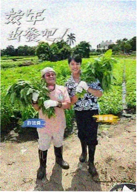 天美厨房 - 天美影院在线观看电视剧